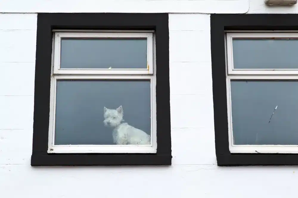 Why Awning Windows Work Well in Wet Weather 3 Installer fitting a double glazed aluminium awning window into a brick home