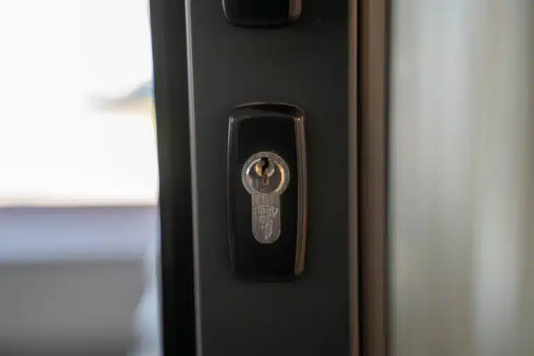 Security Screen Door Cost and What Affects It 17 Heavy-duty security screen door fitted to a residential home entrance in NSW